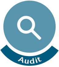 Audit